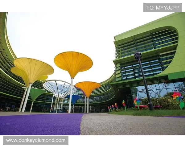 北京乒乓球队转型升级的背后故事与未来发展展望