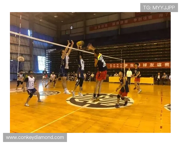 成都篮球队实力分析与未来发展潜力的深入探讨与展望