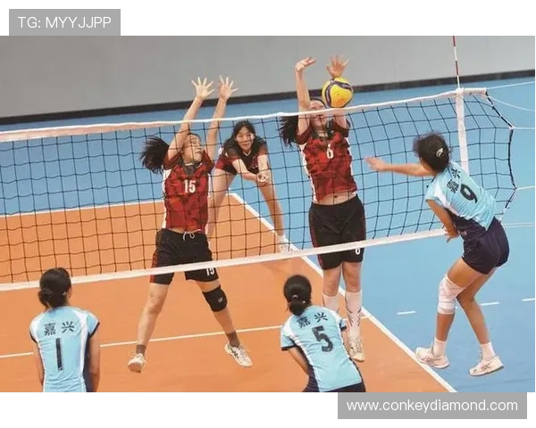 武汉排球队的崛起与发展探秘排球运动的力量与激情