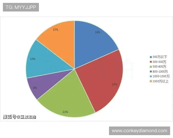 独家分析：上海网球队的力量对比