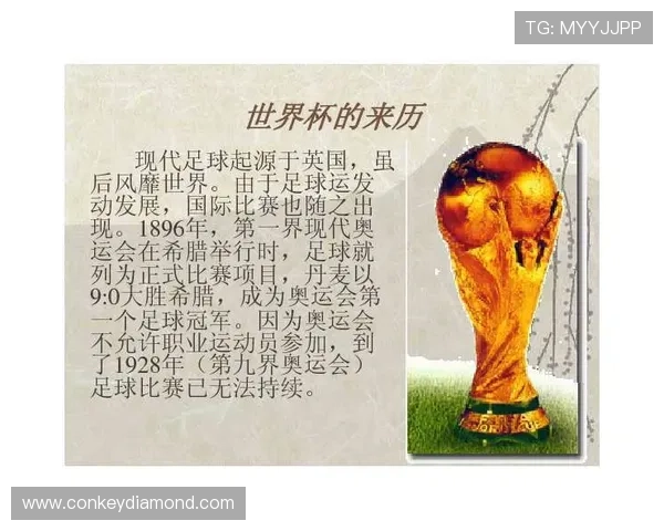 丹麦足球明星介绍及其在国际赛场上的辉煌成就与影响力分析